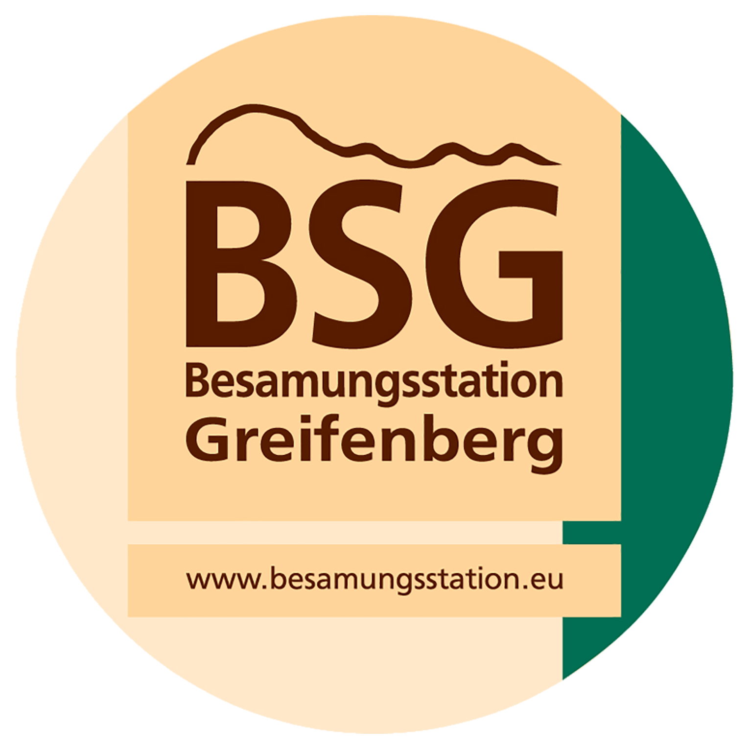 Logo_rund_Banner_BSG